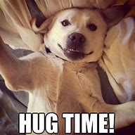 Image result for Free Hugs Funny