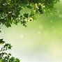 Image result for Greenery Wallpaper for PPT