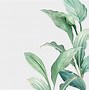 Image result for Watercolor HD Background Laptop