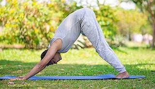 Image result for Easy Yoga Poses