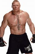 Image result for Brock Lesnar Back