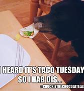 Image result for Funny National Taco Day