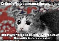 Image result for Cheezburger Cat Meme