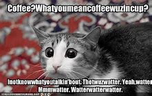 Image result for I Can Has Cheezburger