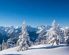 Image result for Winter Snow Screensavers Free