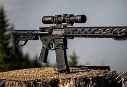 Image result for Semi-Automatic Rifles List
