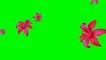 Image result for Real Flowers Greenscreen