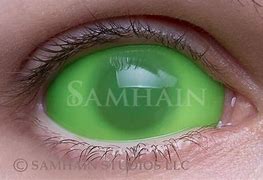 Image result for White Contact Lenses