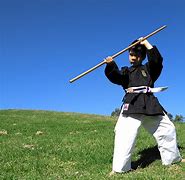 Image result for Ninja Karate