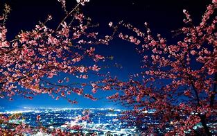 Image result for Bing Screensaver City at Night Japan