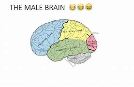 Image result for Male Brain Memes
