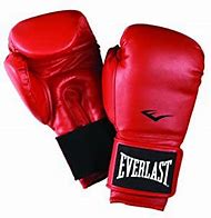 Image result for Everlast 8 Oz Boxing Gloves