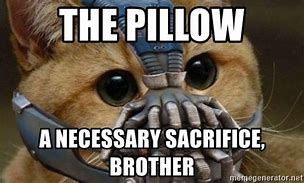 Image result for Sacrifice Cat Meme