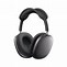 Image result for Apple Air Max Headphones Gray