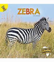 Image result for Zebra Books Nancy