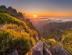 Image result for at�pico
