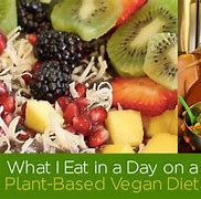 Image result for Plant-Based Vegan Diet Plans Health