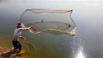 Image result for Fish Netting by the Yard