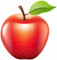Image result for Apple Fruit in USA