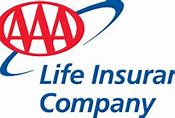 Image result for AAA Life Insurance Payment