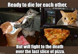 Image result for Cat with Pizza Slice Meme