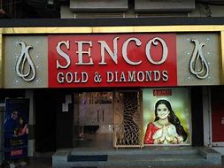 Image result for Senco Gold