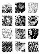 Image result for Grainy Texture in a Drawing