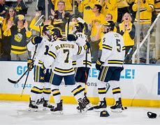 Image result for College Ice Hockey