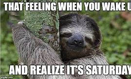 Image result for Sloth Sleep Now Meme