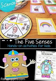 Image result for 5 Senses Kids Activities