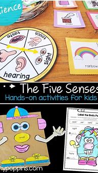 Image result for 5 Senses Activities for Children