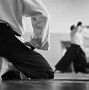 Image result for Real Aikido Serbia