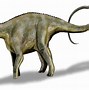 Image result for Dinosaur
