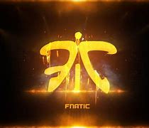 Image result for Fnatic CS GO