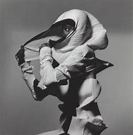 Image result for Irving Penn Famous