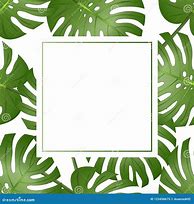 Image result for Pilodendron Border On a Word Document