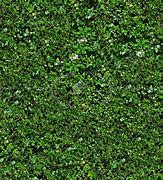 Image result for Garden Net Texture Seamless