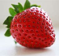 Image result for strawberry pics