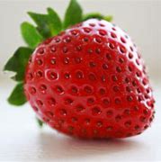 Image result for Strawberry Fruit