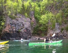 Image result for Kayaking On Blue Pelican