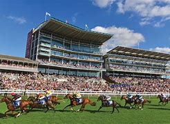 Image result for Newmarket Horse Racing