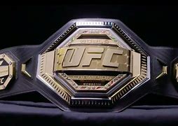 Image result for UFC Championship