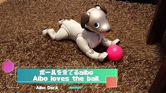 Image result for Aibo Ball