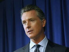 Image result for Gov Gavin Newsom Book