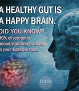 Image result for Healthy Gut Brain Meme