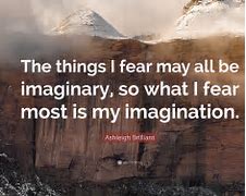 Image result for Imagination and Fear Quote S