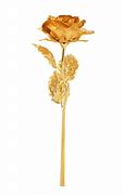 Image result for Show Me a Gold Rose