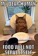 Image result for Thanksgiving Animal Memes