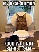 Image result for Grumpy Cat Thanksgiving