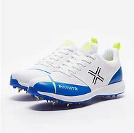 Image result for Payntr Cricket Shoes